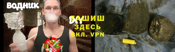 сатива Медногорск