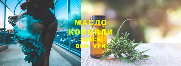 твердый Мегион