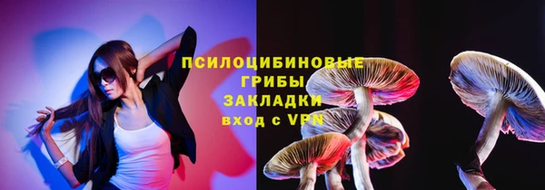 спиды Медвежьегорск
