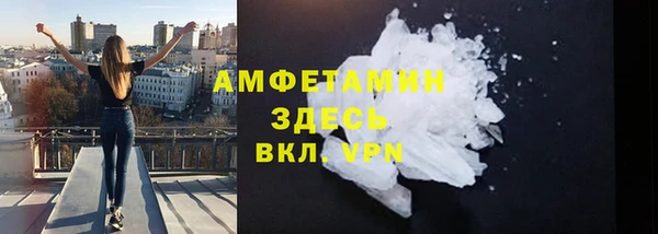 твердый Мегион