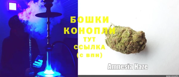 сатива Медногорск