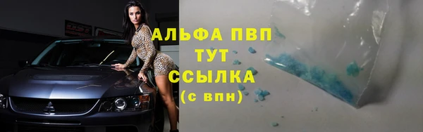 спиды Медвежьегорск