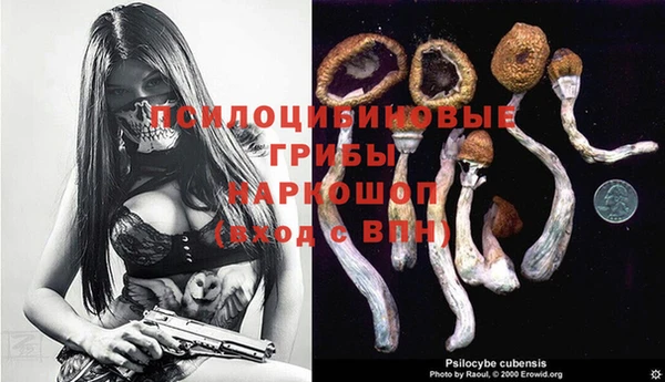 твердый Мегион