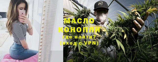 твердый Мегион