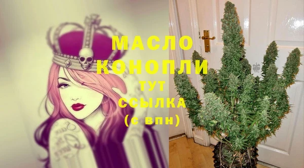 сатива Медногорск