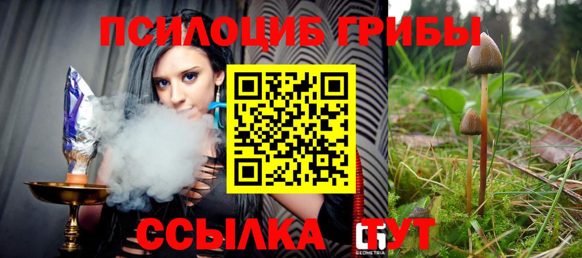 Галлюциногенные грибы MAGIC MUSHROOMS  Вход с VPN  Псилоцибиновые грибы мухоморы  Муром 